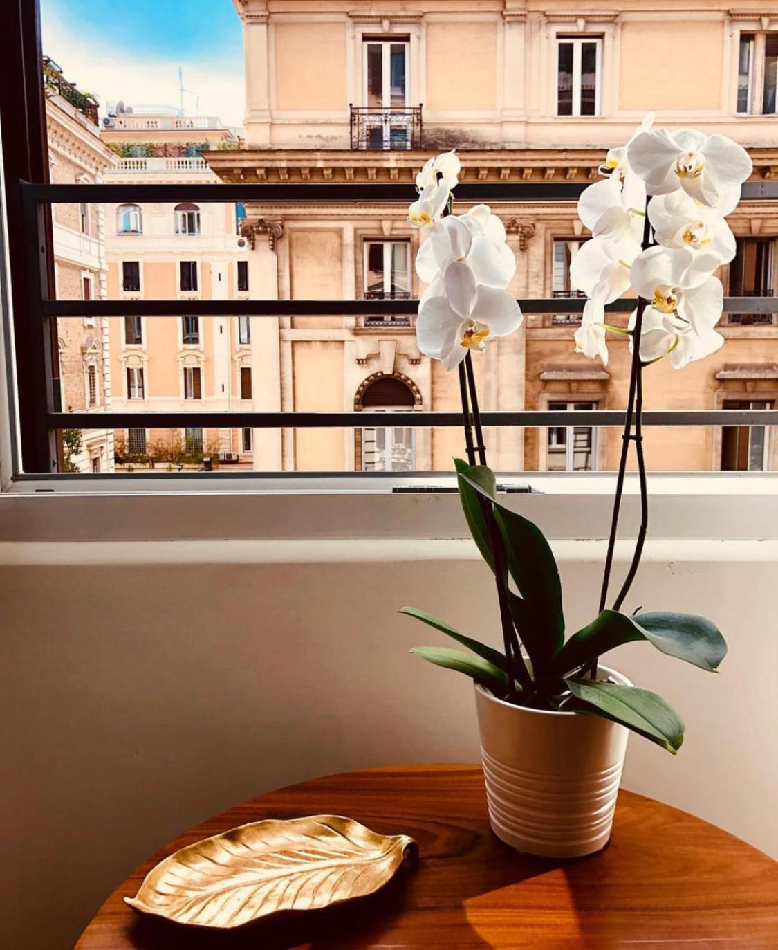900 Piazza Del Popolo Bed and Breakfast Rom Eksteriør billede